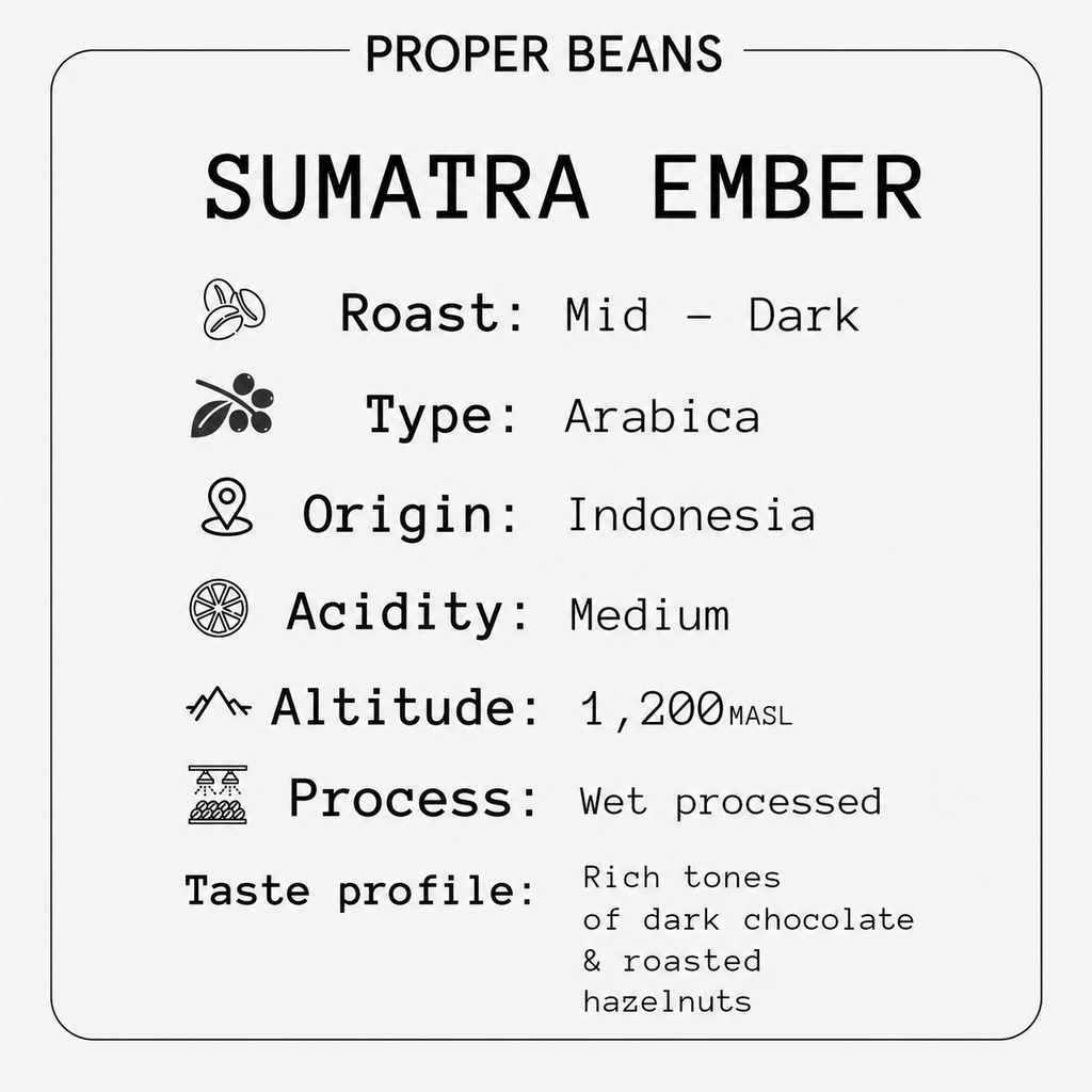 Sumatra Ember